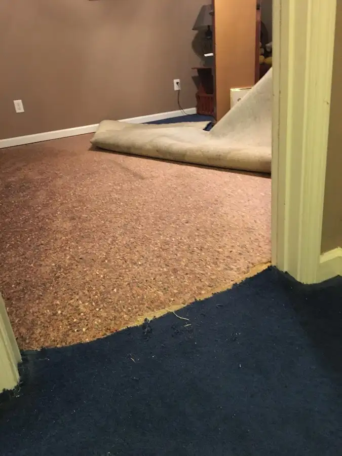 Carpet pad removal revealing water damage during Drying & Dehumidification in Galena Park