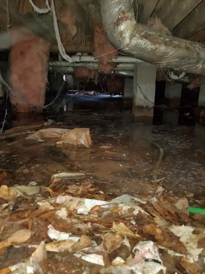 Crawl space flood assessment for Leak Detection & Repair in Galena Park